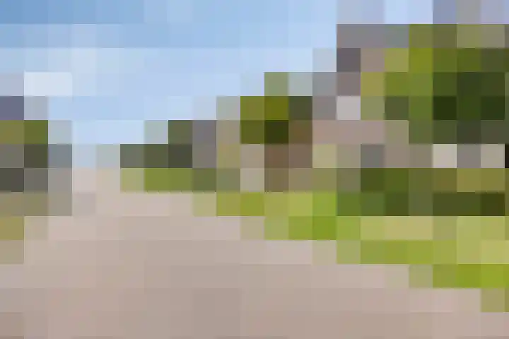 Akkerdreef 21 Nieuw-Beijerland thumbnail 52