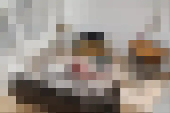 Akkerdreef 259 Zoetermeer thumbnail 13