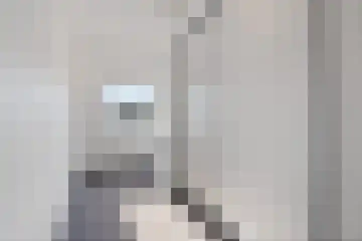 Akkerdreef 259 Zoetermeer thumbnail 29