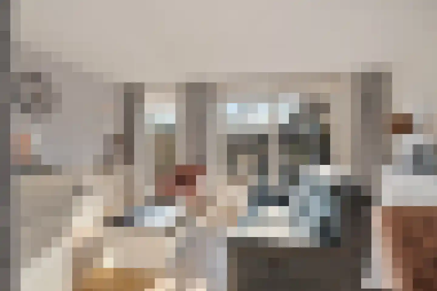 Akkerdreef 263 Zoetermeer thumbnail 11