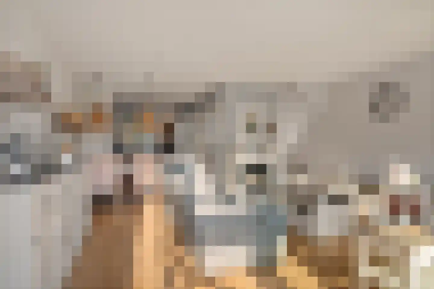 Akkerdreef 263 Zoetermeer thumbnail 14