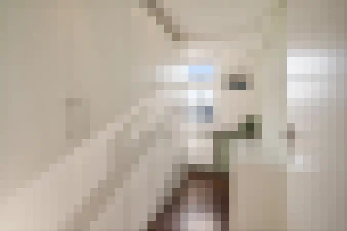 Akkerdreef 263 Zoetermeer thumbnail 33