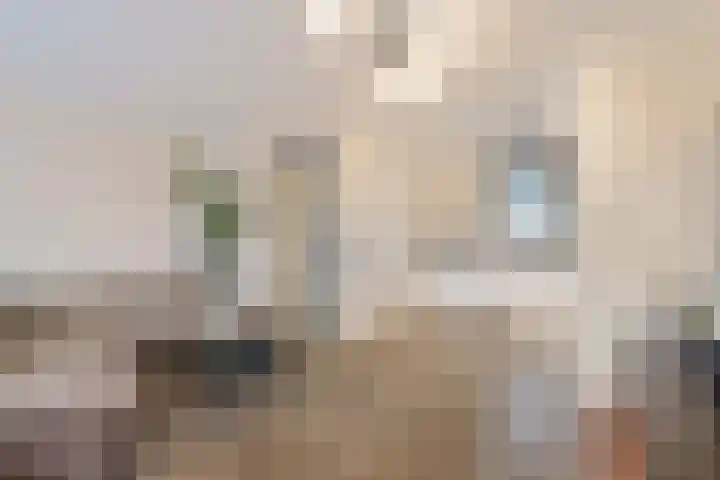 Akkerdreef 295 Zoetermeer thumbnail 15