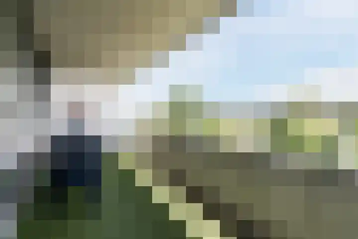Akkerdreef 295 Zoetermeer thumbnail 16