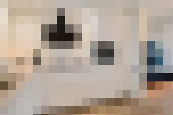 Akkerdreef 295 Zoetermeer thumbnail 18
