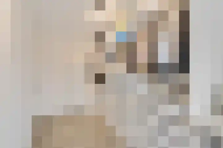 Akkerdreef 295 Zoetermeer thumbnail 32