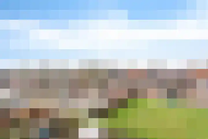 Akkerdreef 295 Zoetermeer thumbnail 33