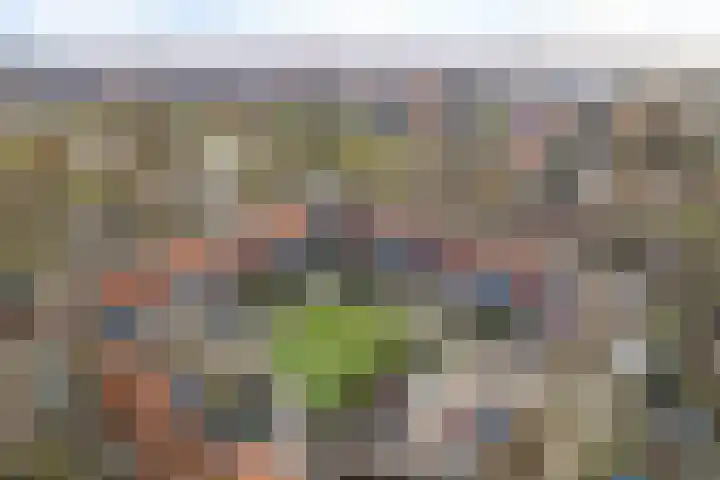 Akkerdreef 295 Zoetermeer thumbnail 40