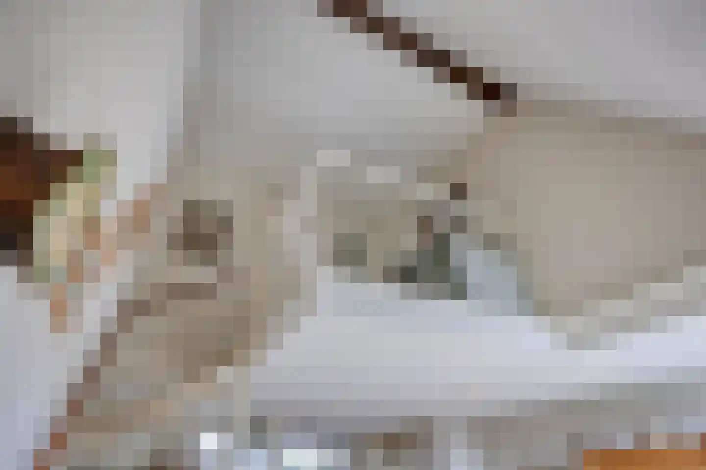 Akkerdreef 313 Zoetermeer thumbnail 15