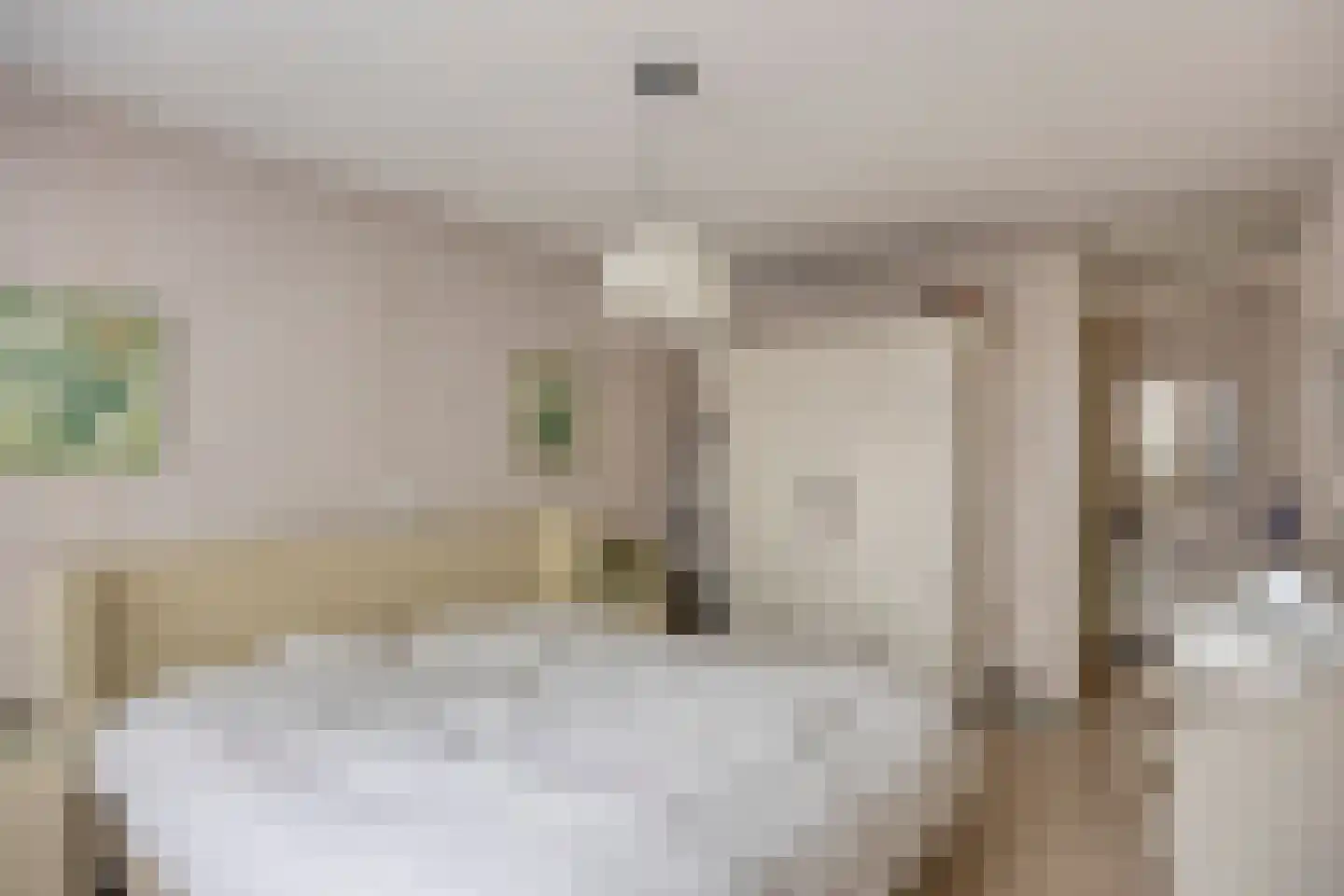 Akkerdreef 313 Zoetermeer thumbnail 18