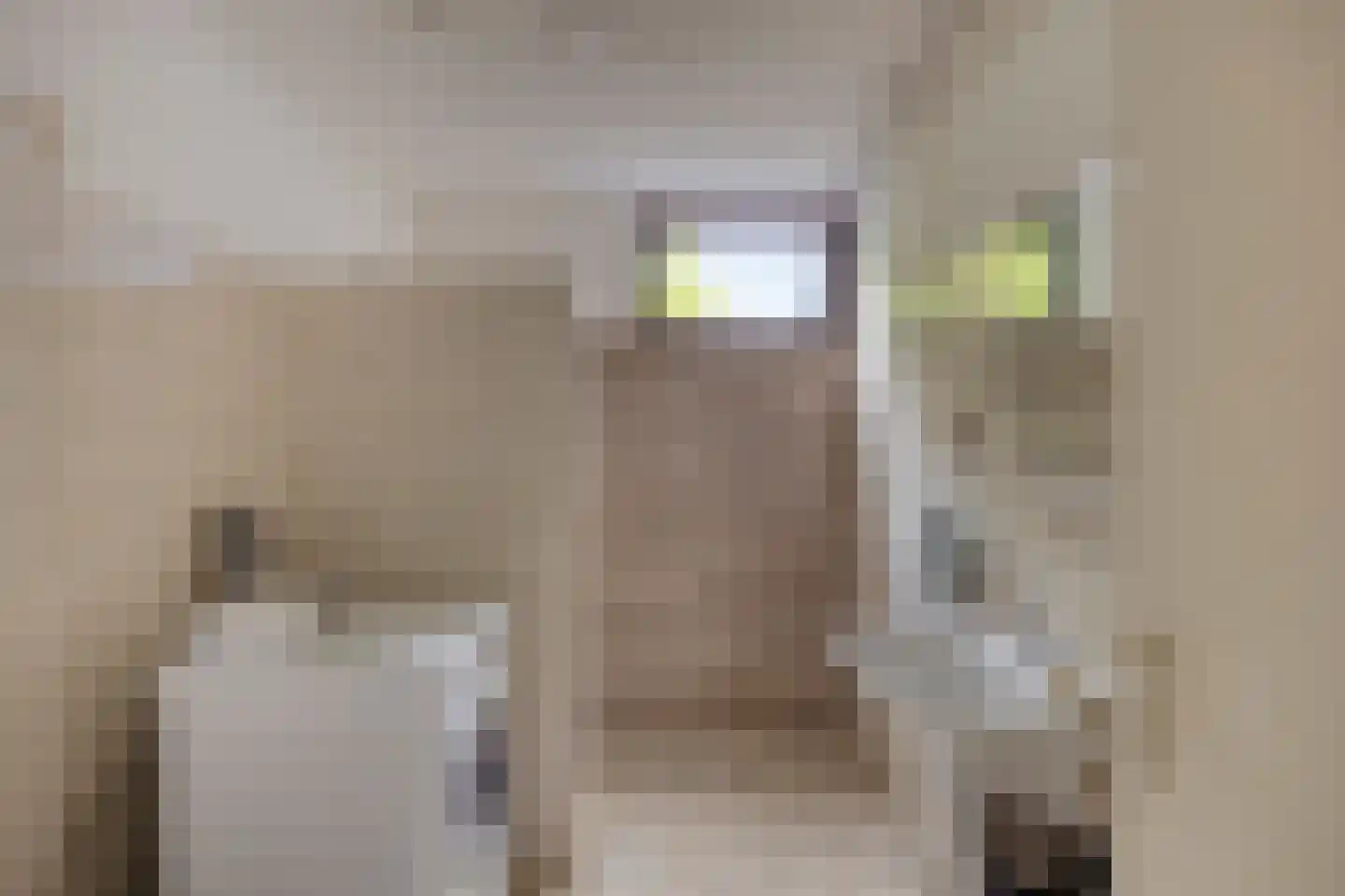 Akkerdreef 313 Zoetermeer thumbnail 21