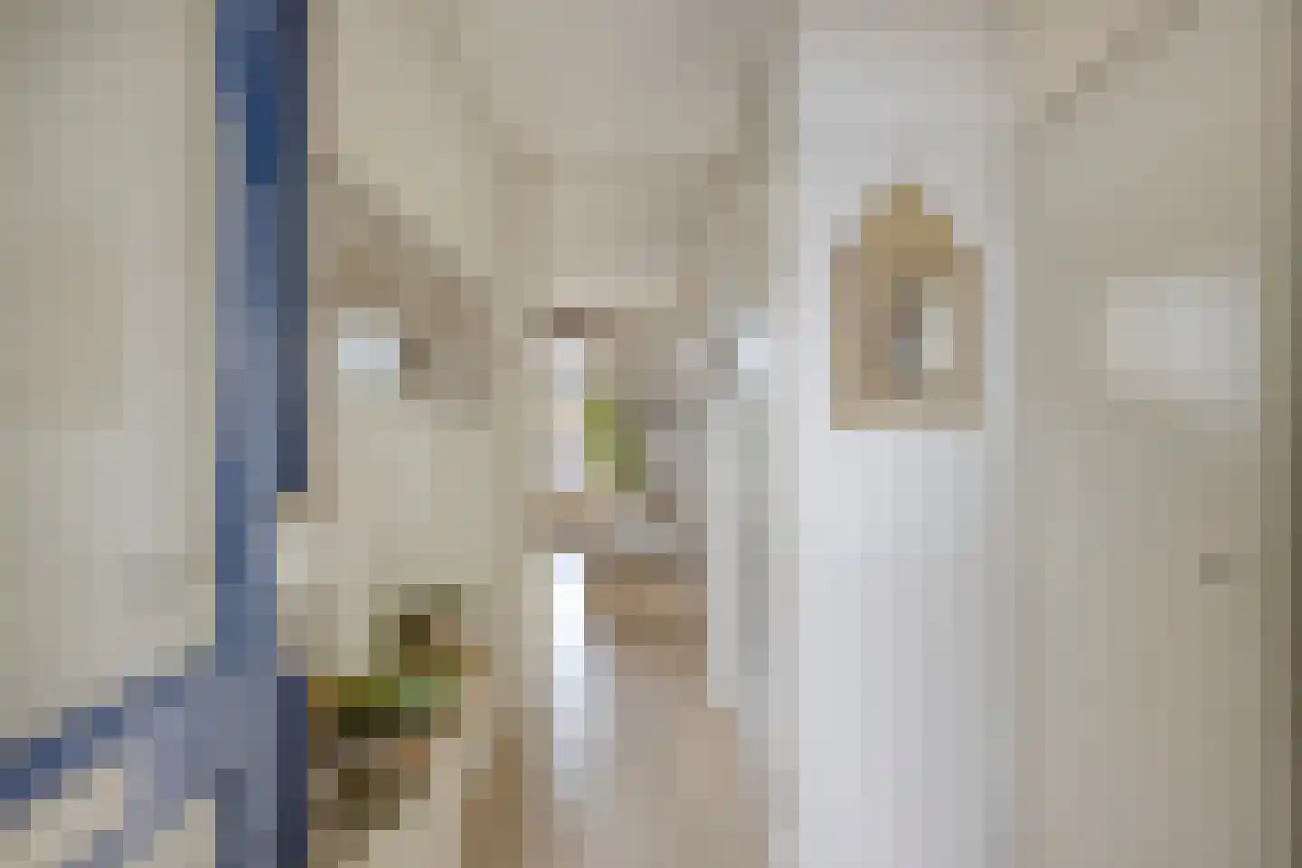 Akkerdreef 313 Zoetermeer thumbnail 4