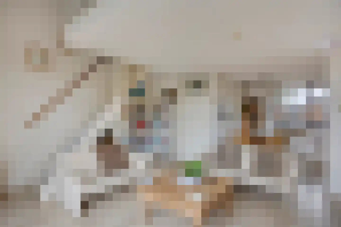 Akkerdreef 313 Zoetermeer thumbnail 8