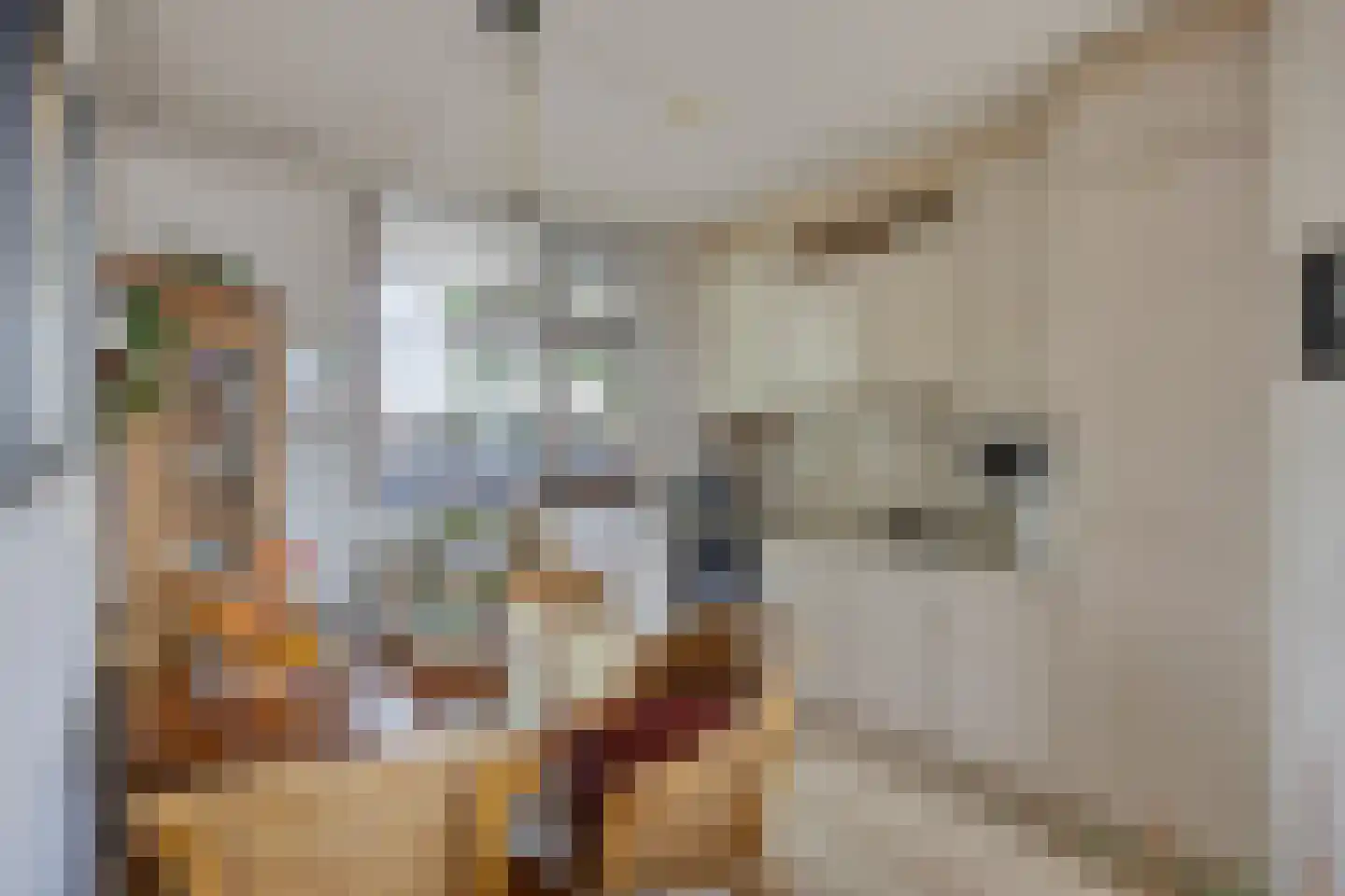 Akkerdreef 313 Zoetermeer thumbnail 9