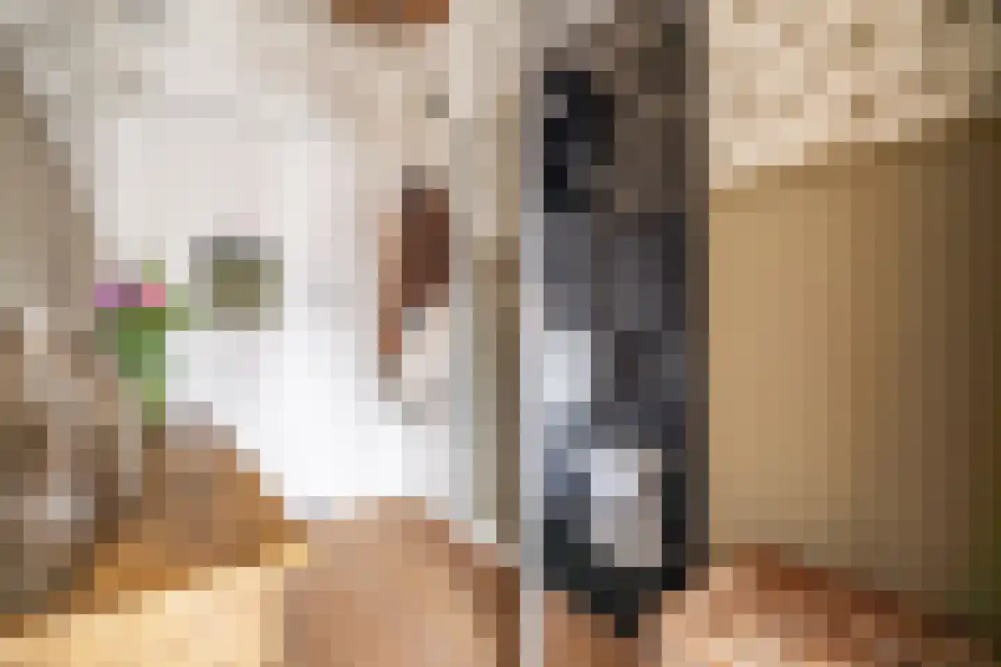 Akkerdreef 86 Zoetermeer thumbnail 17