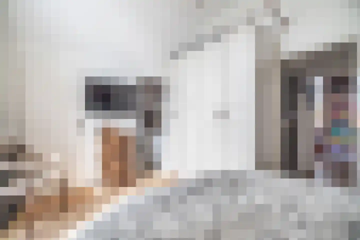 Akkerdreef 86 Zoetermeer thumbnail 38