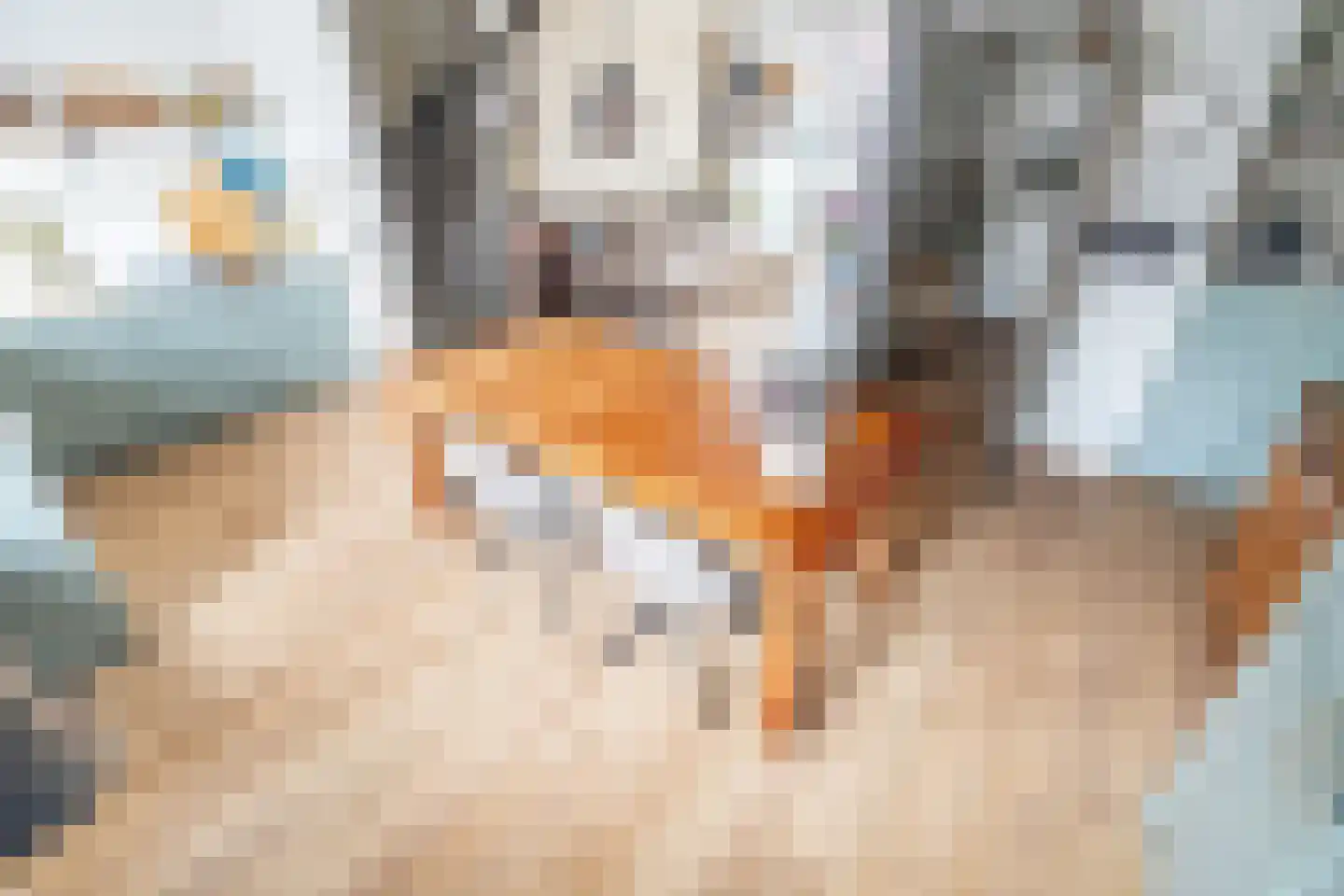 Akkerdreef 86 Zoetermeer thumbnail 6