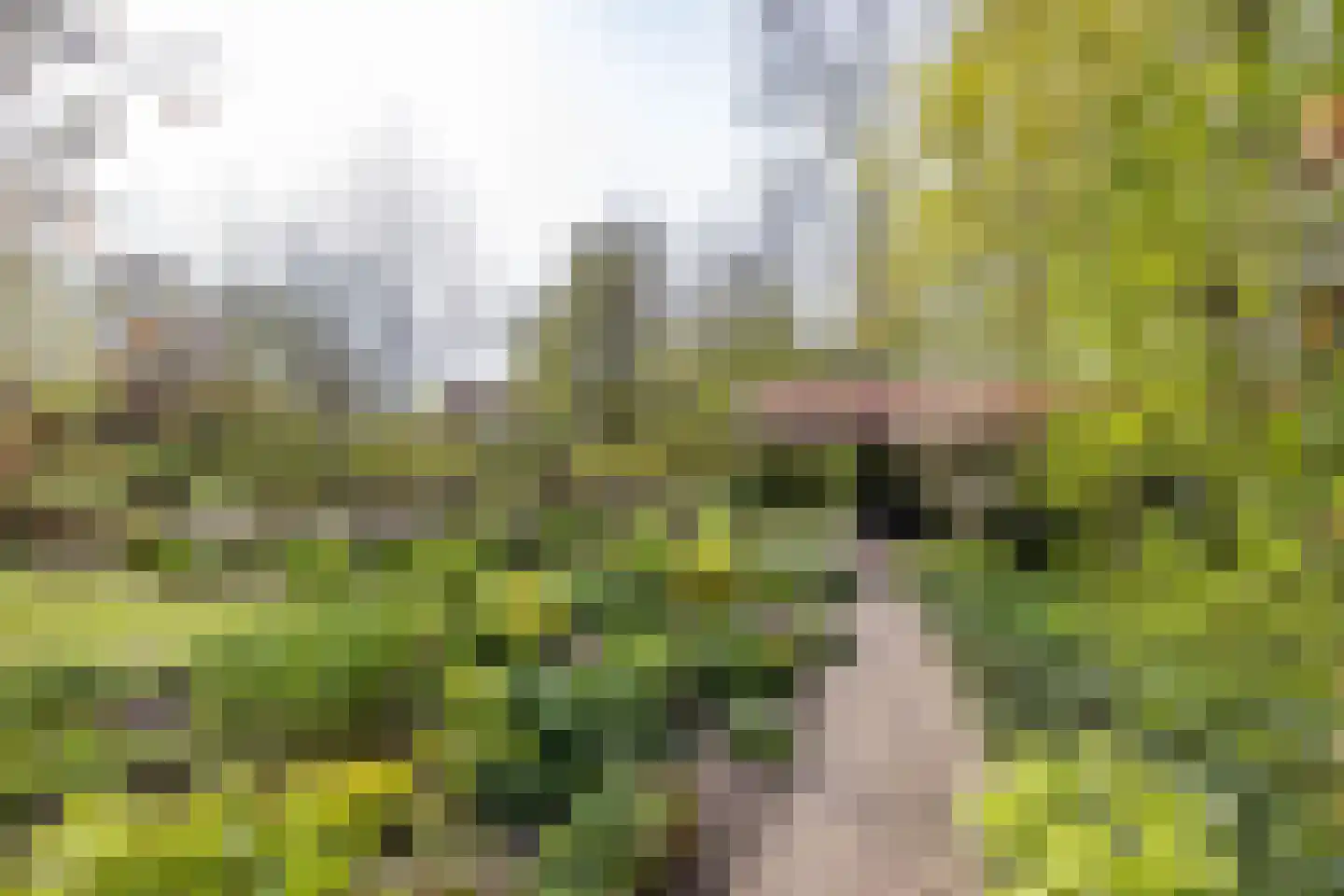 Akkereindenweg 12 Siddeburen thumbnail 11