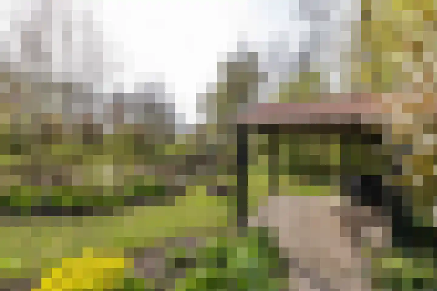 Akkereindenweg 12 Siddeburen thumbnail 12