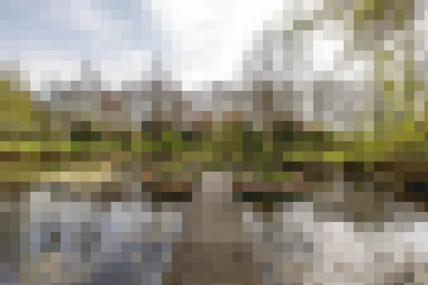 Akkereindenweg 12 Siddeburen thumbnail 14