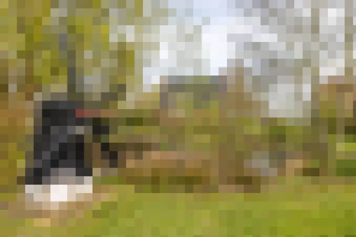 Akkereindenweg 12 Siddeburen thumbnail 16