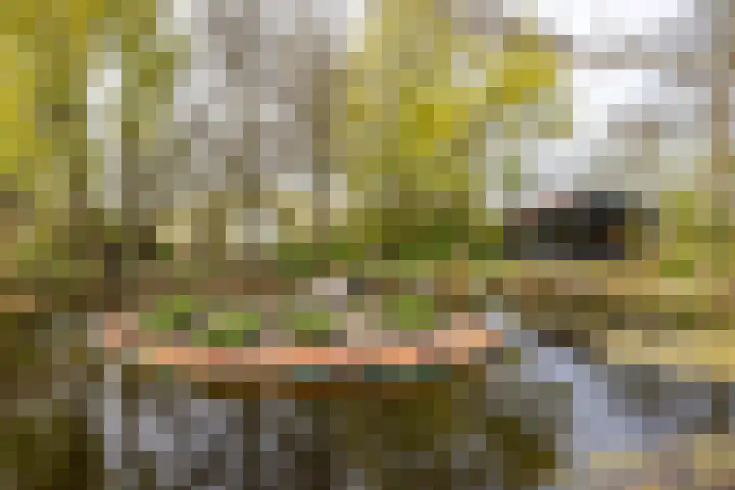 Akkereindenweg 12 Siddeburen thumbnail 18