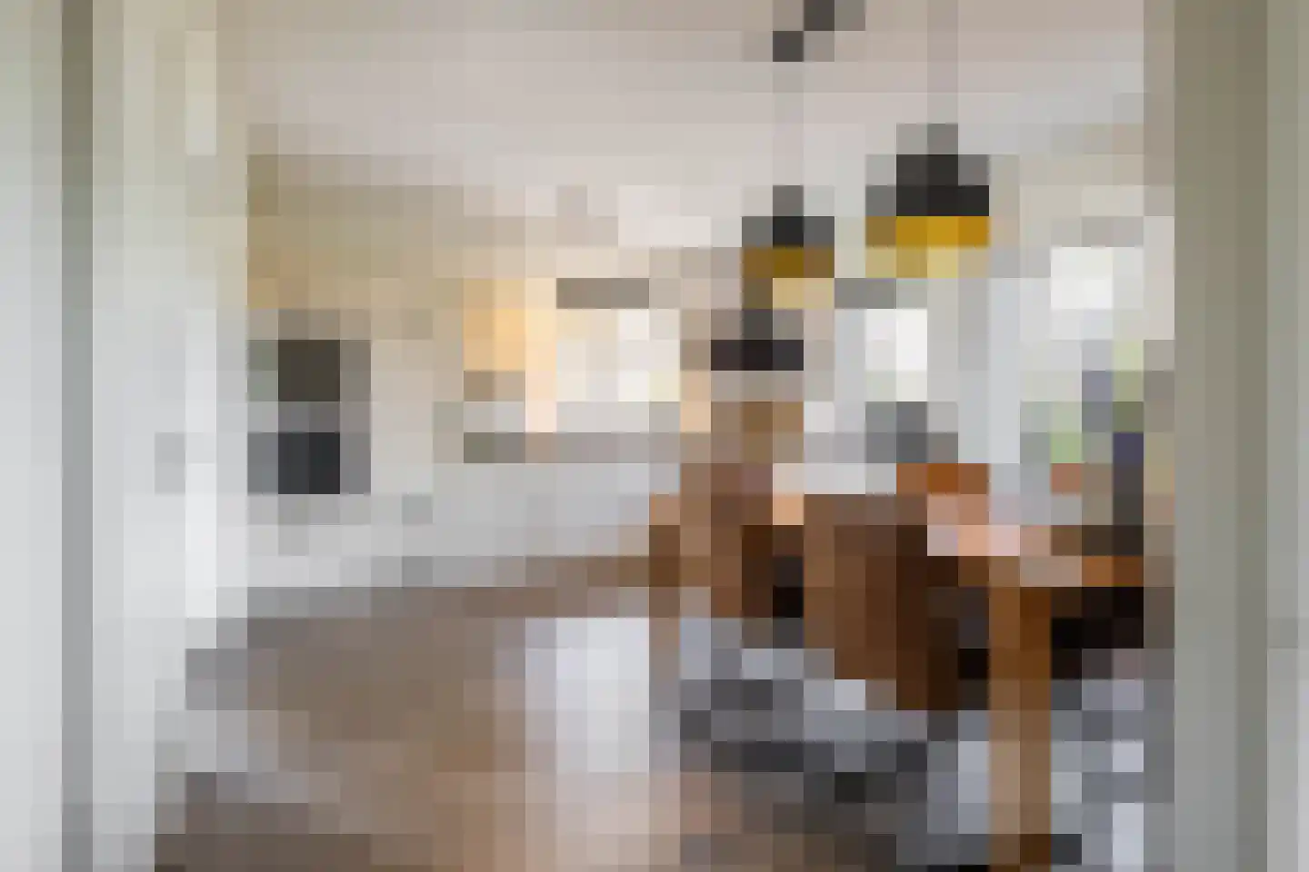 Akkereindenweg 12 Siddeburen thumbnail 28