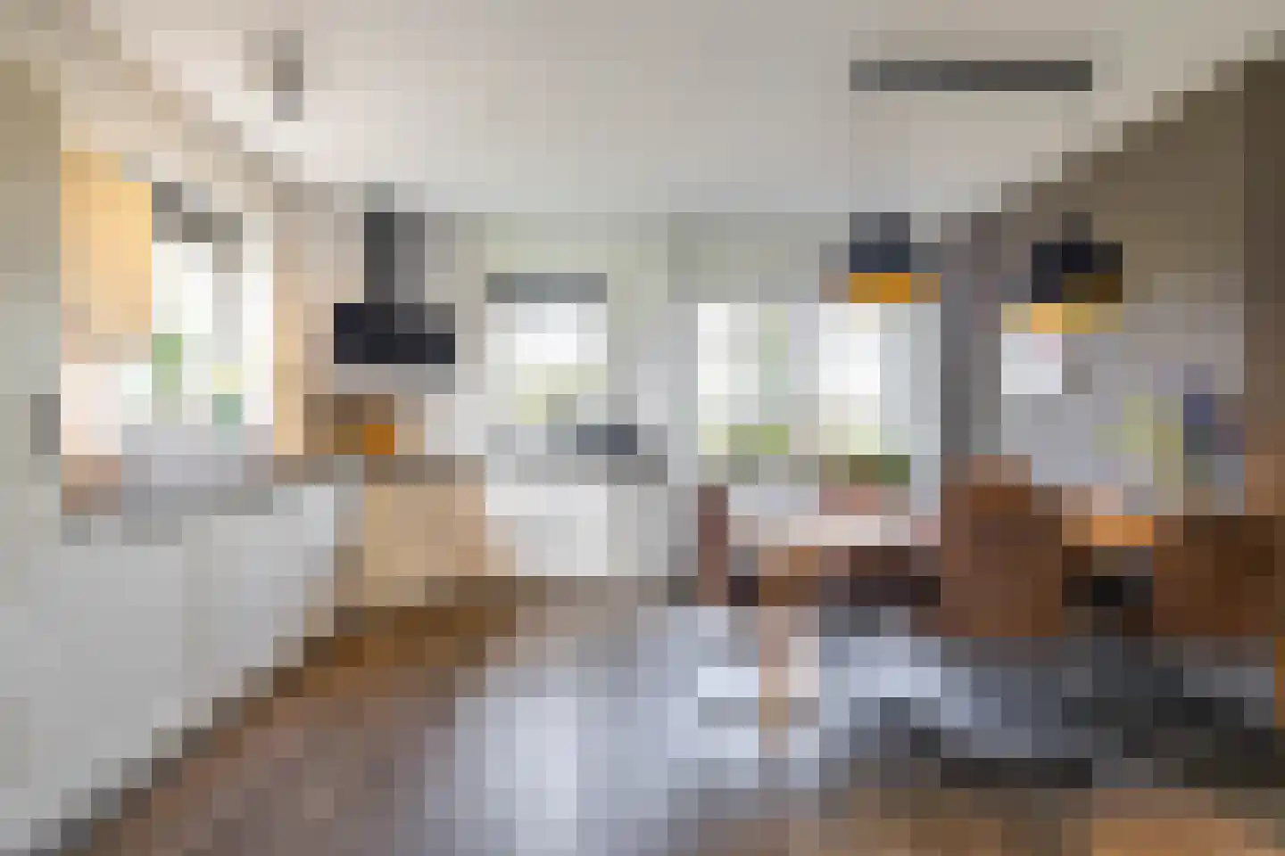 Akkereindenweg 12 Siddeburen thumbnail 29