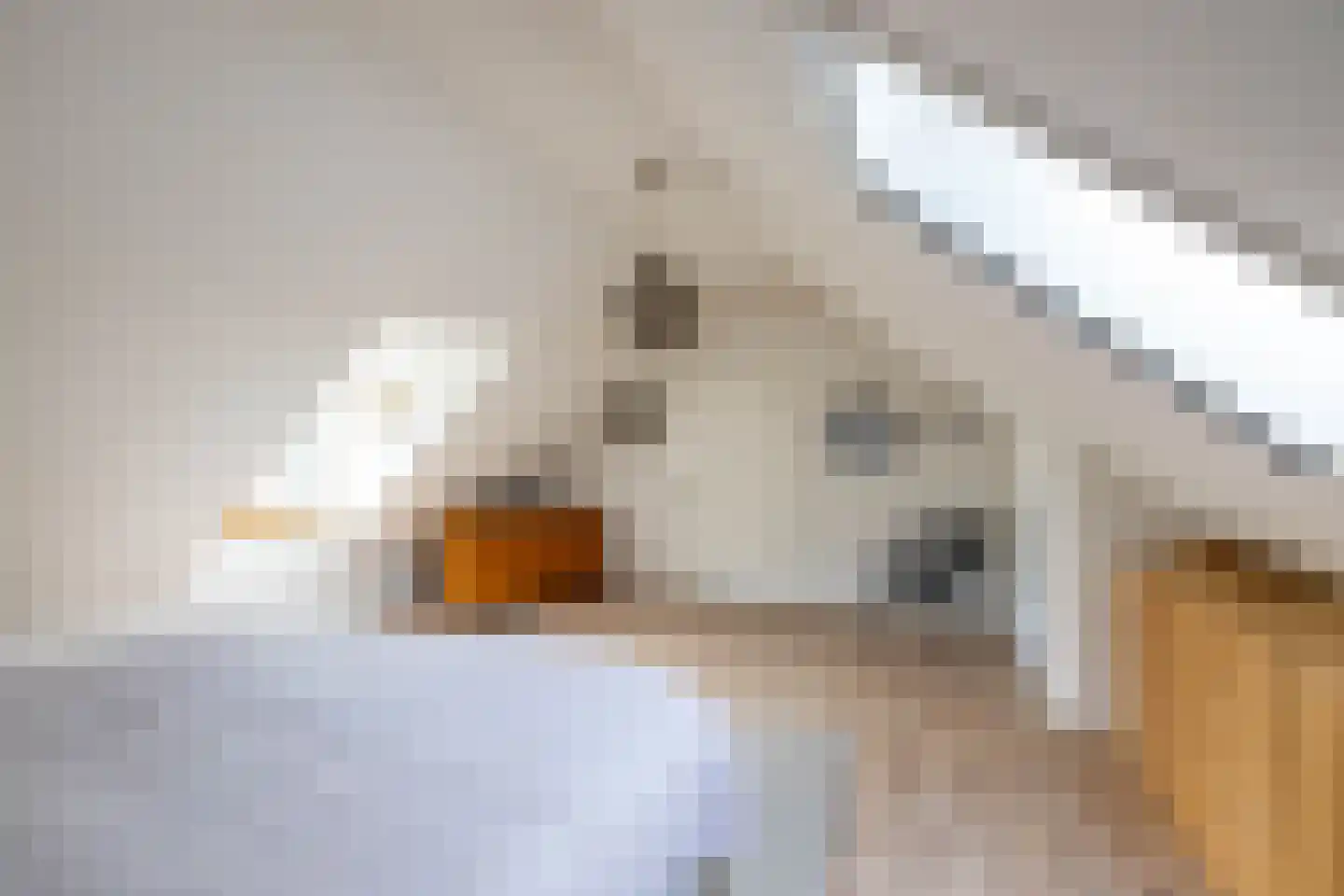 Akkereindenweg 12 Siddeburen thumbnail 49