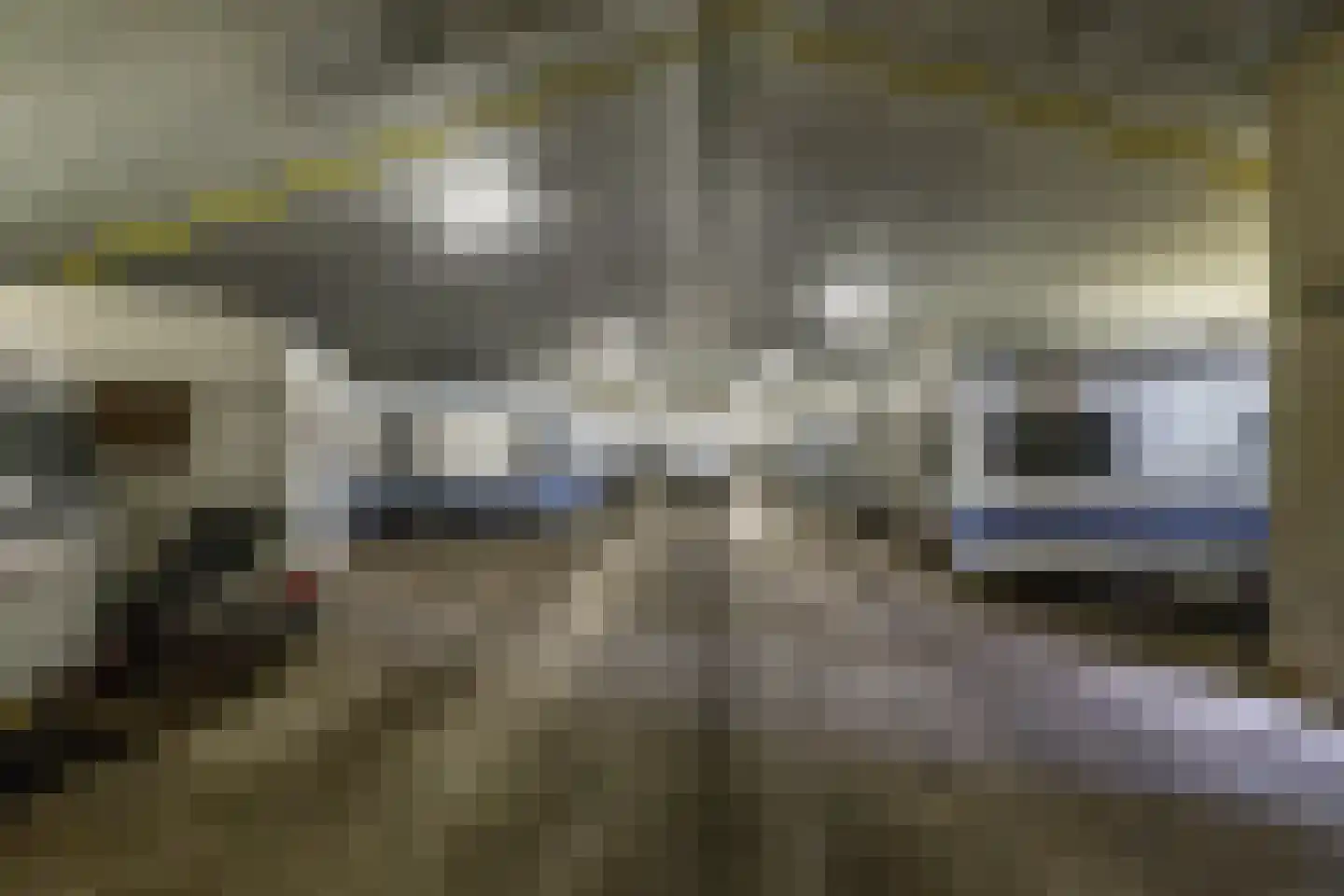 Akkereindenweg 12 Siddeburen thumbnail 65