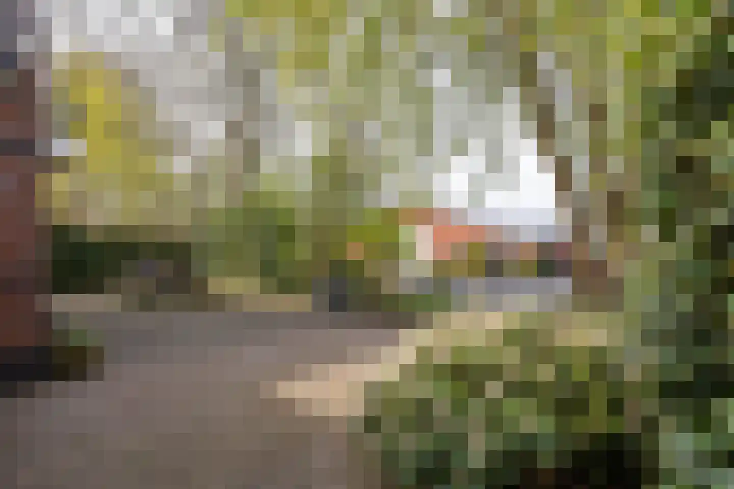 Akkereindenweg 12 Siddeburen thumbnail 7
