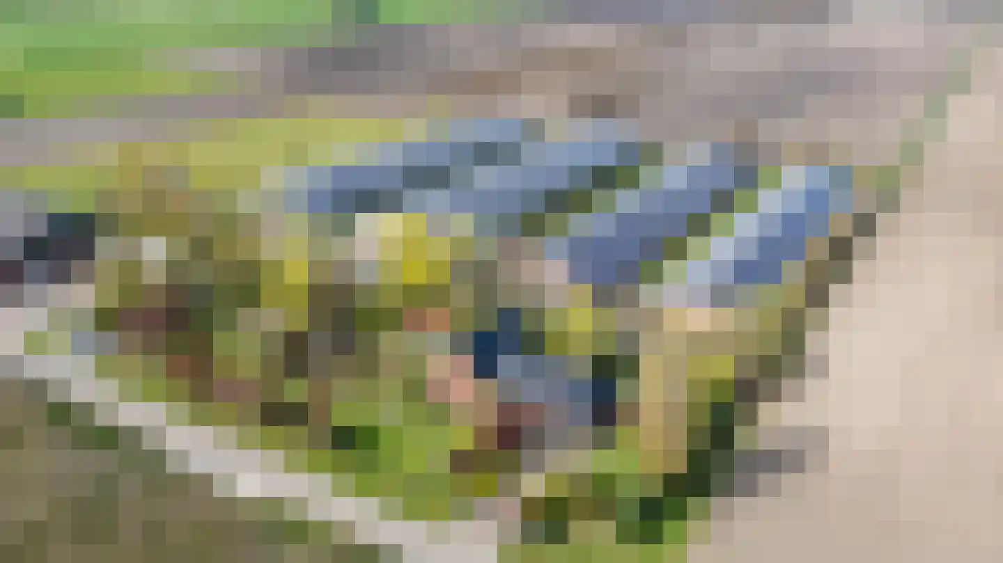 Akkereindenweg 12 Siddeburen thumbnail 76