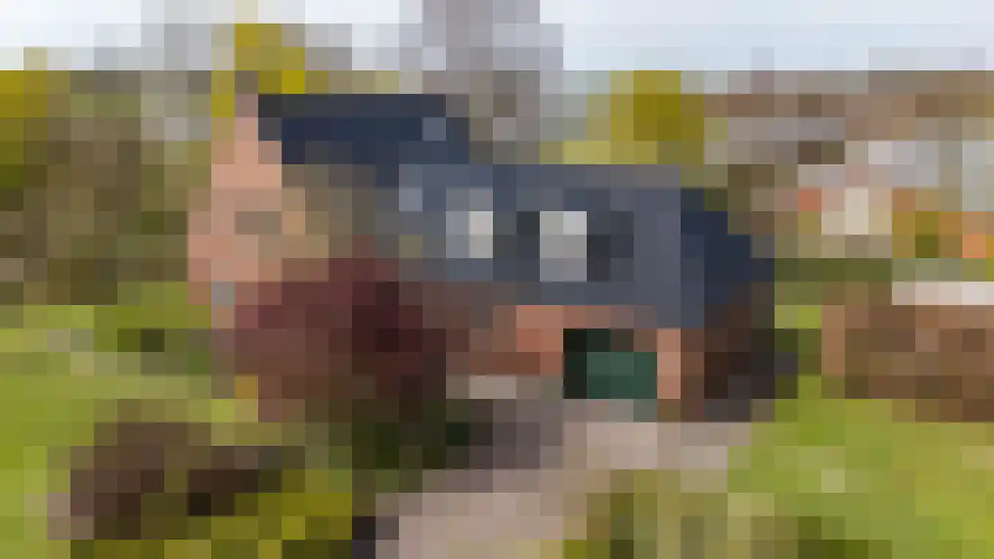 Akkereindenweg 12 Siddeburen thumbnail 77