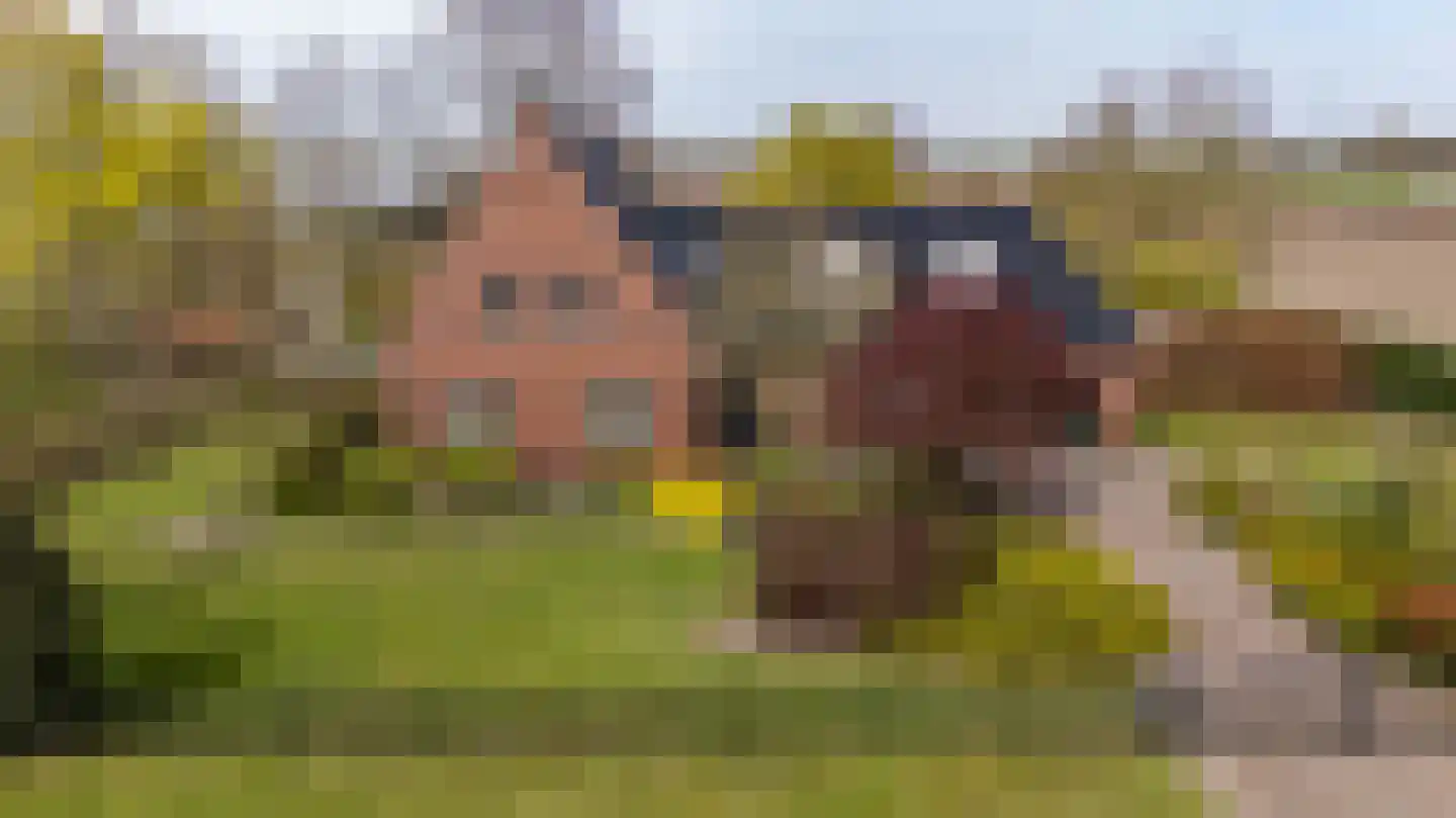 Akkereindenweg 12 Siddeburen thumbnail 78