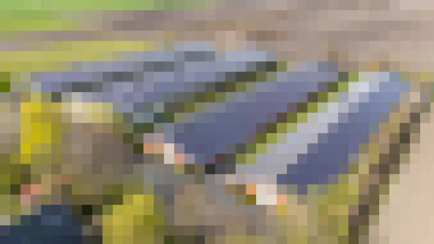 Akkereindenweg 12 Siddeburen thumbnail 79