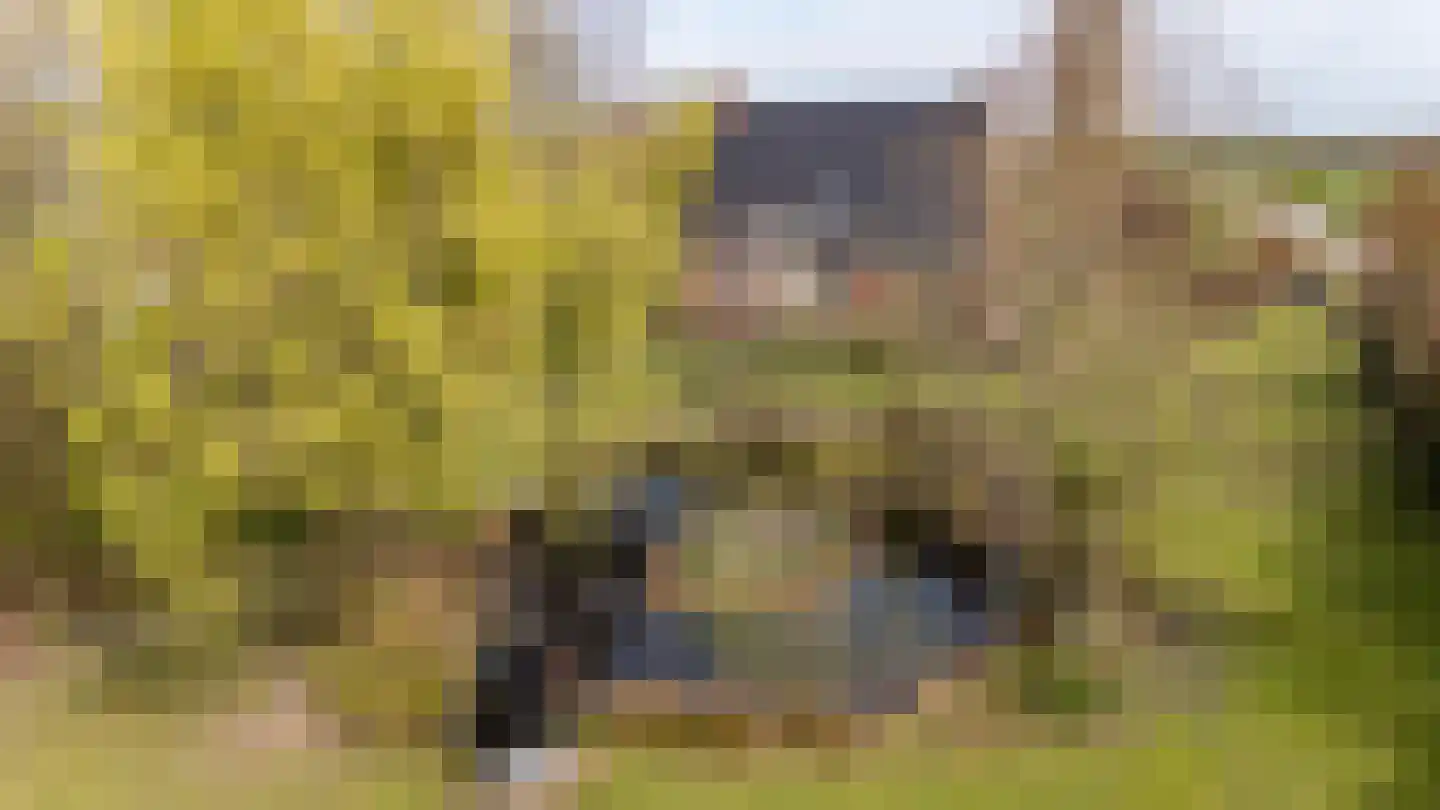 Akkereindenweg 12 Siddeburen thumbnail 84