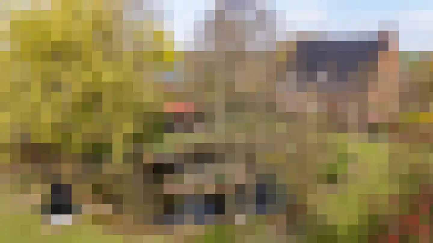 Akkereindenweg 12 Siddeburen thumbnail 85