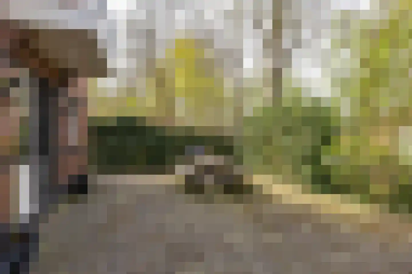 Akkereindenweg 12 Siddeburen thumbnail 9