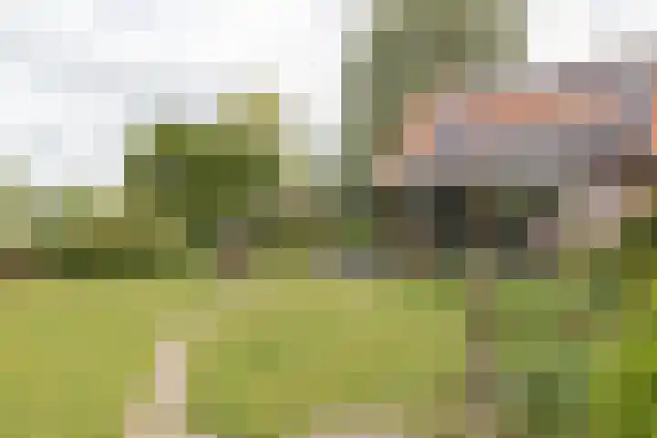 Akkereindenweg 19 Siddeburen thumbnail 10
