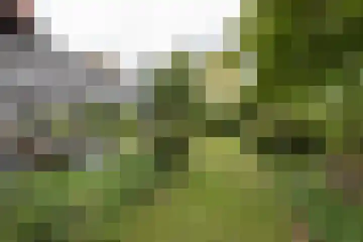 Akkereindenweg 19 Siddeburen thumbnail 11