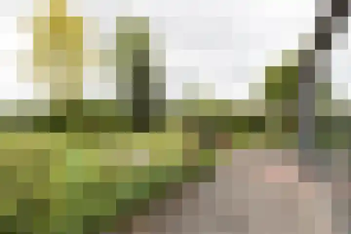 Akkereindenweg 19 Siddeburen thumbnail 12