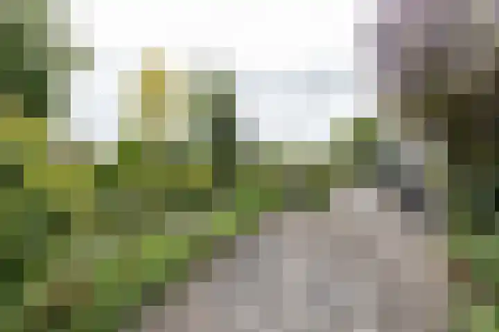 Akkereindenweg 19 Siddeburen thumbnail 13
