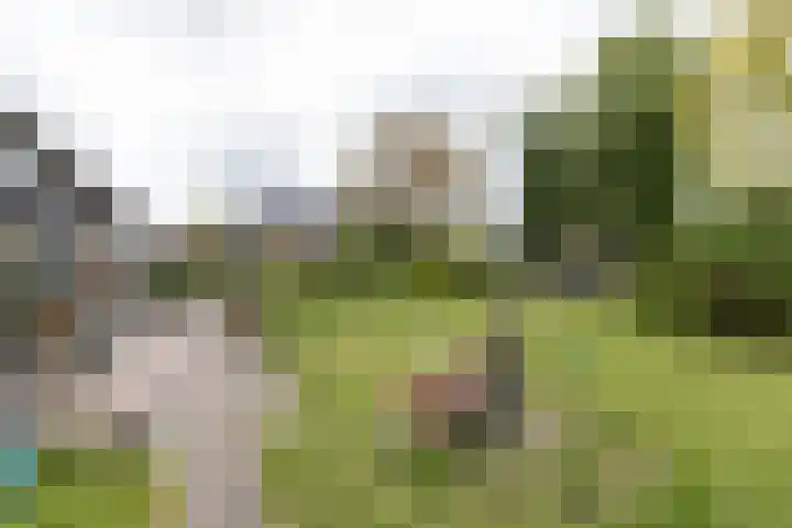 Akkereindenweg 19 Siddeburen thumbnail 14