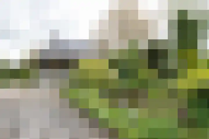 Akkereindenweg 19 Siddeburen thumbnail 16