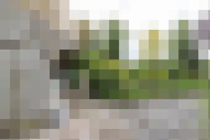 Akkereindenweg 19 Siddeburen thumbnail 17