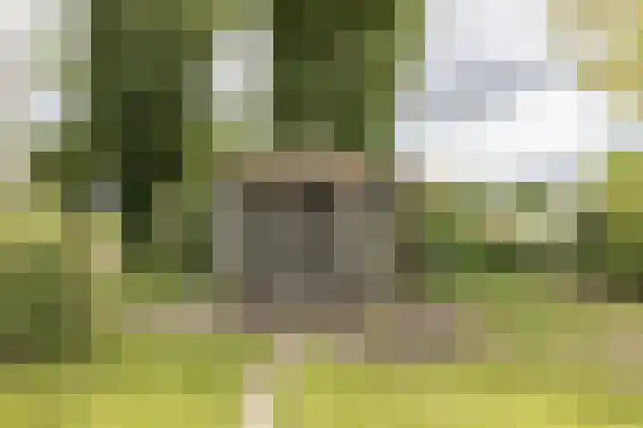 Akkereindenweg 19 Siddeburen thumbnail 18