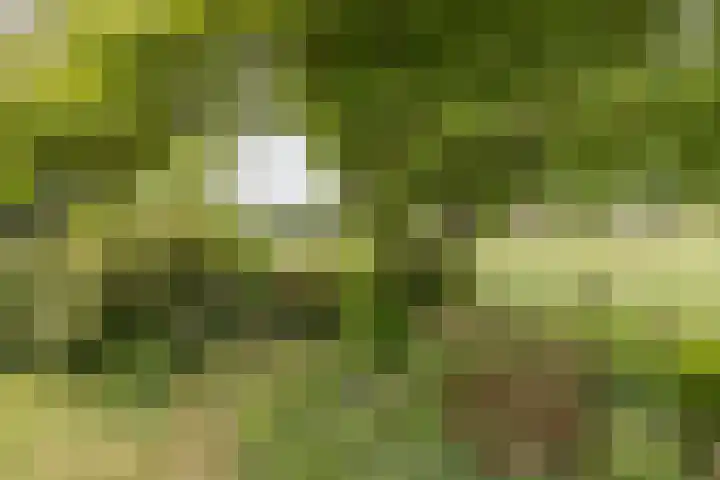 Akkereindenweg 19 Siddeburen thumbnail 19