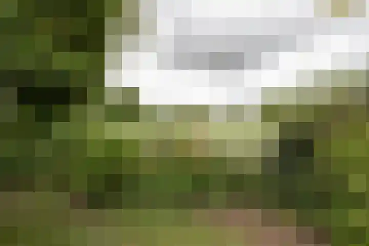 Akkereindenweg 19 Siddeburen thumbnail 20