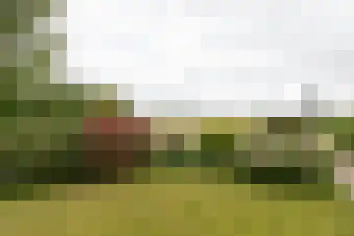 Akkereindenweg 19 Siddeburen thumbnail 21