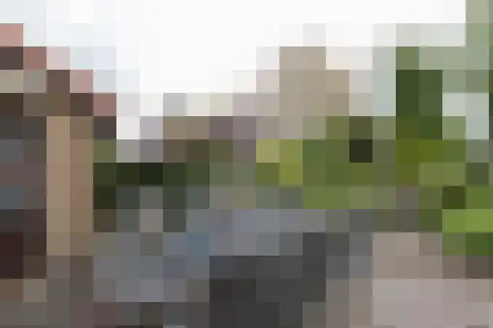 Akkereindenweg 19 Siddeburen thumbnail 7